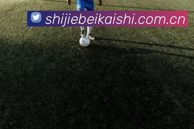 奖项证书